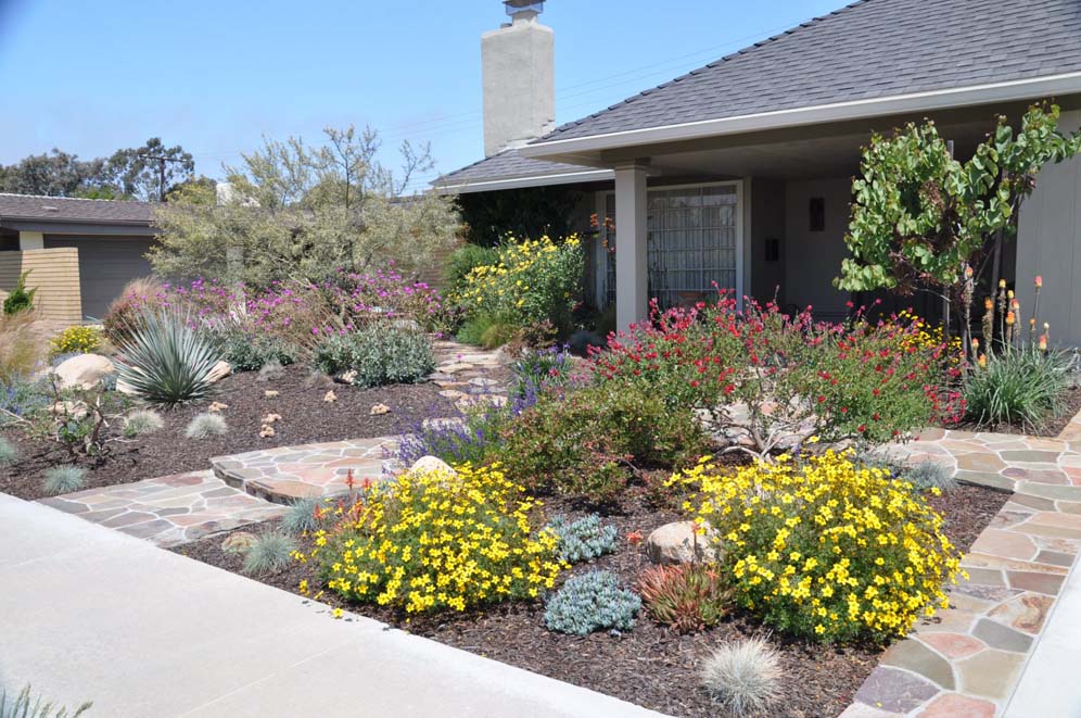 how-to-change-out-your-lawn-to-save-water-diy-front-yard-landscaping